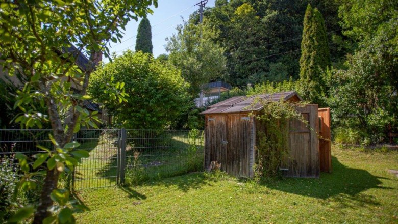 Dog run, © itjproductions Dog run, © itjproductions