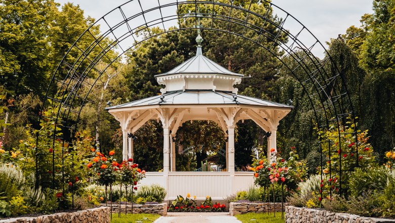 Wiener Neustadt City Park, © Busy Shutters White pavilion behind rose arch