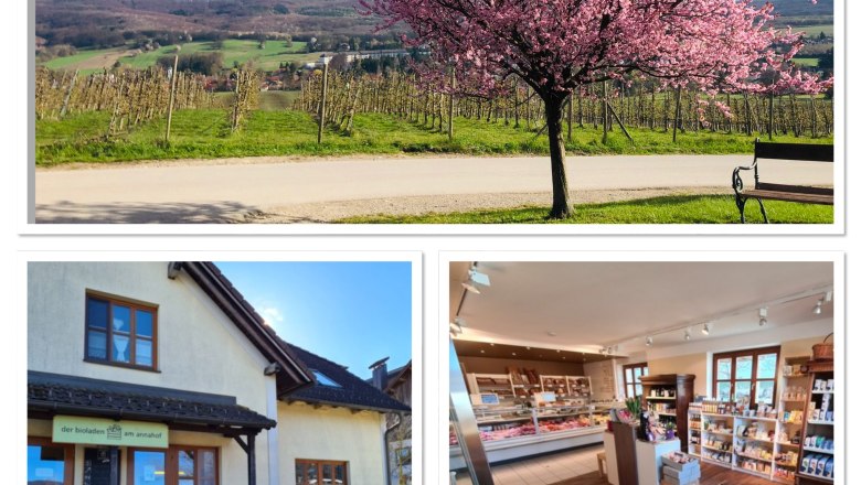 Collage, © Annahof Collage, © Annahof