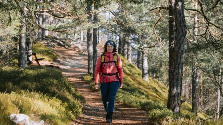 Cultural hike to the 20-shilling view, © Luxusgämsen A woman walks along a forest path, surrounded by trees and sunlight.