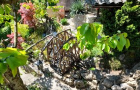 Glow rooter, © Adam Garden with wooden bridge, plants and stones.