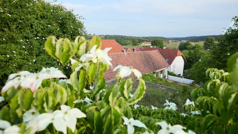 Outlook, © Rupert Pessl Outlook, © Rupert Pessl