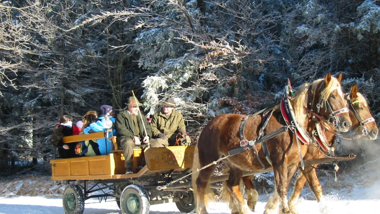 Hohe Wand Nature Park, © Naturpark Hohe Wand Horse-drawn sleigh ride in the snowy forest.
