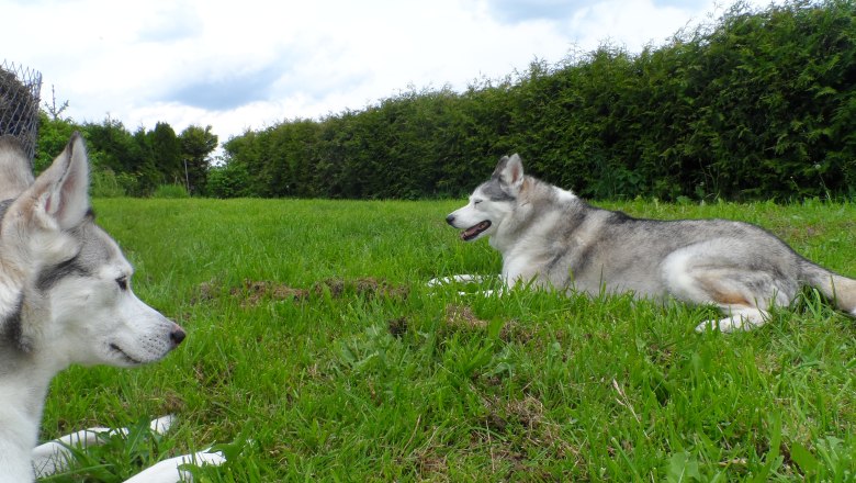 Garden, © Peter Schlager Garden, © Peter Schlager