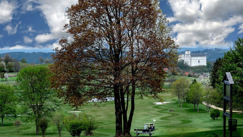 Weitra Golf Club, © Restaurant - Hotel Hausschachen Golf course with tree in the middle and Weitra Castle in the background