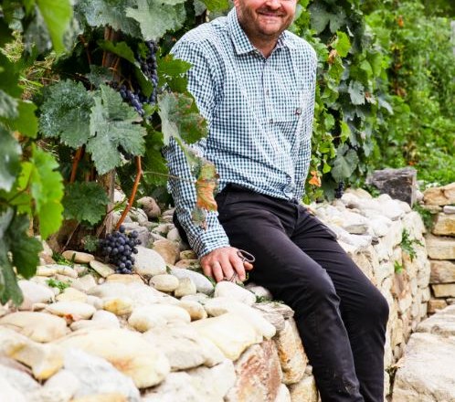 Winery Triesneckerhof, © Raimund Bauer Winery Triesneckerhof, © Raimund Bauer