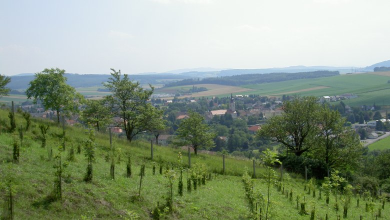 Sieghartskirchen, © Marktgemeinde Sieghartskirchen Landscape with hills, trees and a village in the background.