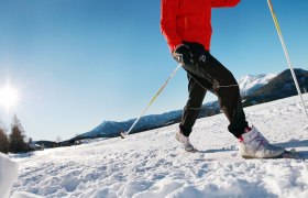 Cross-country skiing through the snow, © weinfranz.at Cross-country skiing through the snow, © weinfranz.at