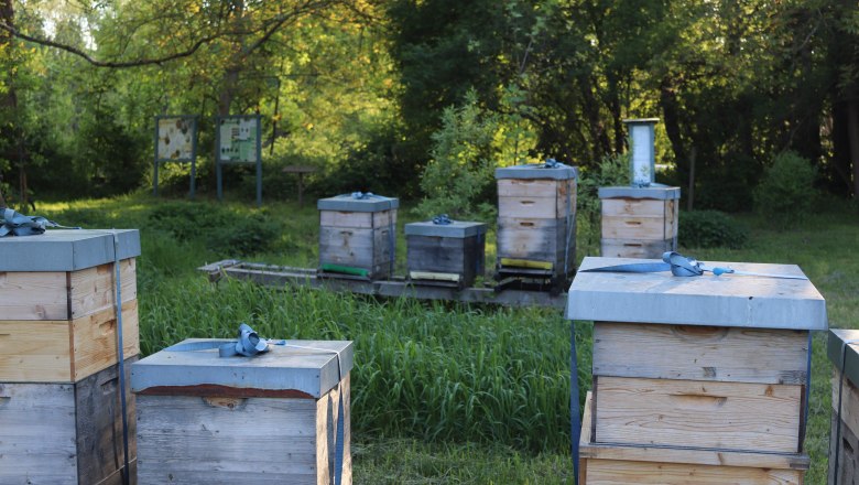 Our show apiary, © Imkerei Pell Beehives in a green garden with trees in the background.