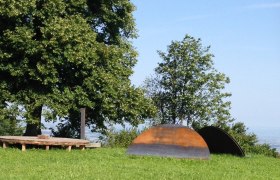 Around show, © Mostviertel Tourismus Wooden platform and metal sculptures on a meadow with trees in the background.