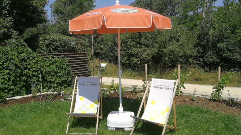 Garden vinotheque wine enjoyment at the GARTEN TULLN, © Weingut Koch two sun loungers with parasol in the garden of the garden vinotheque