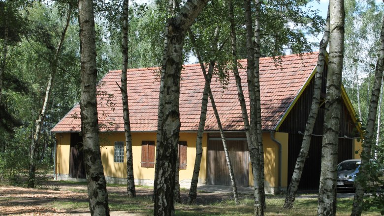 SOLA Langau, © Hannes Messmann A yellow building with a red tiled roof, surrounded by birch trees in the forest.