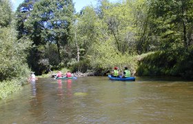 Canoe, © famreisen People paddling in canoes on a river surrounded by trees.