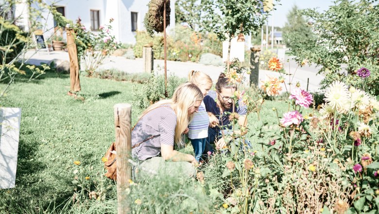 Family outing, © ©SONNENTOR/@nudlholz.at Family looking at flowers in the garden.