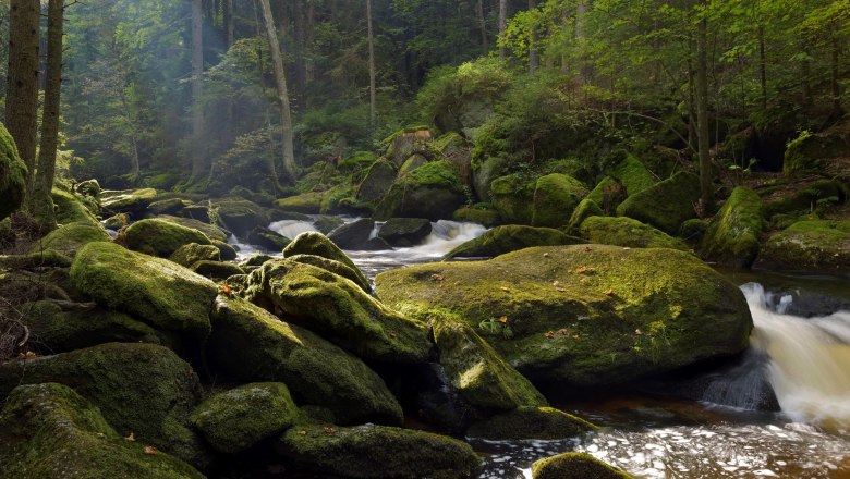 Hellfall, © Matthias Schickhofer A wooded stream with moss-covered rocks and flowing water.