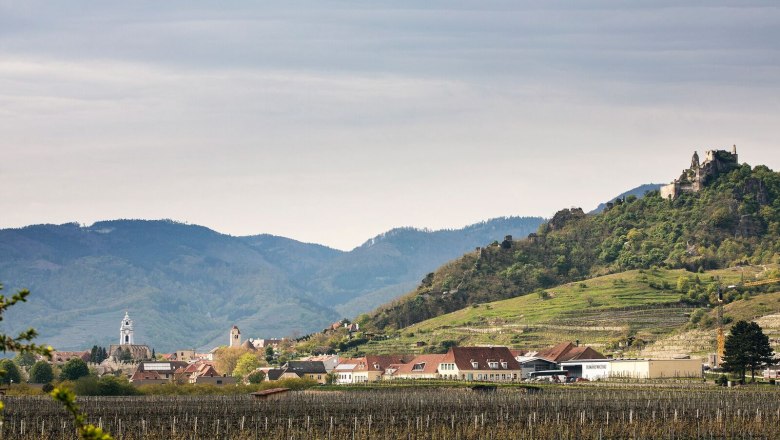 blick-auf-die-ruine-duernstein_c_urbanushof-_-leonhard-hilzensauer_preview, © Leonhard Hilzensauer View of the Dürnstein ruins and the surrounding landscape with vineyards and village.