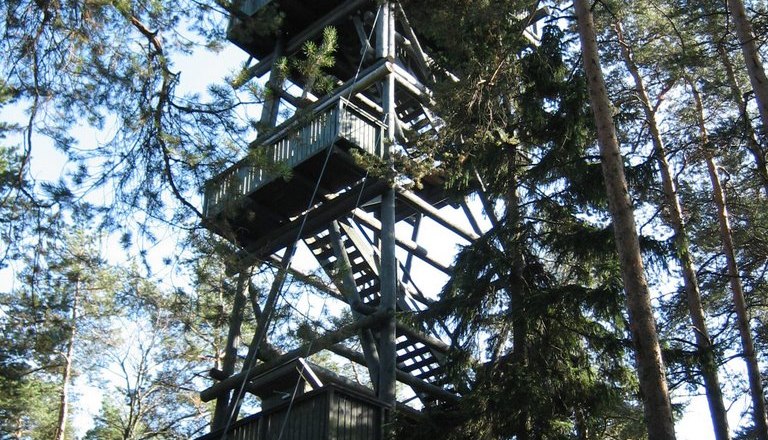 Nordwald tower on the Schwarzenberg, © Naturpark Nordwald Wooden tower in the forest with several platforms and stairs.