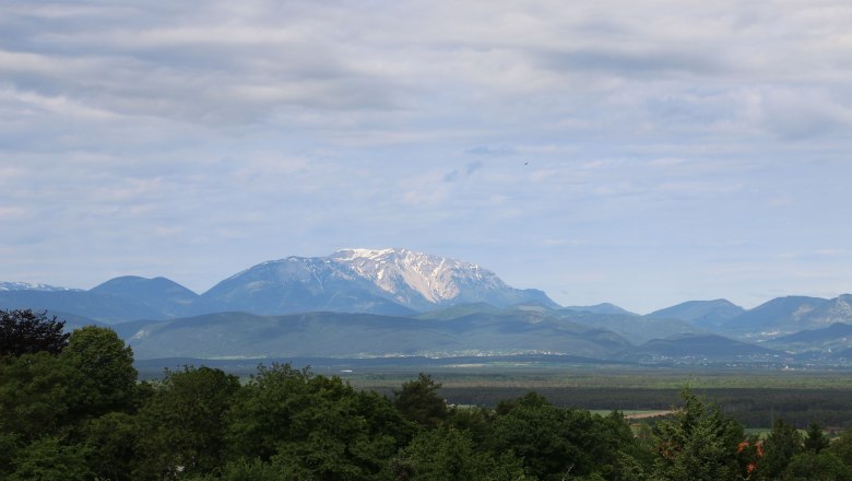 Outlook, © Familie Görg View of a landscape with wooded hills and a snow-capped mountain in the background.