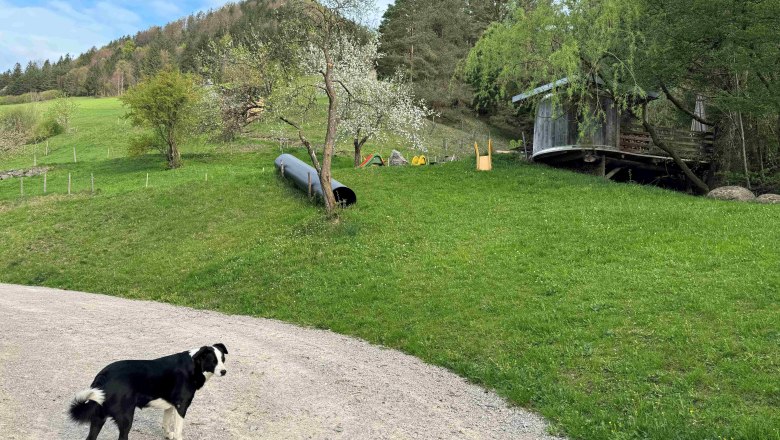 Sunnseit'n playground, © Mostviertel Tourismus Sunnseit'n playground, © Mostviertel Tourismus