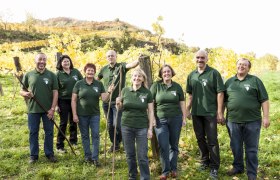 TD--Traisenthaler wine companion, © Weinfranz TD--Traisenthaler wine companion, © Weinfranz