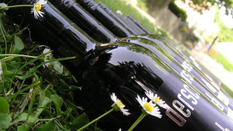 Wine bottles, © Fam. Dersch Several black wine bottles lie on a meadow with daisies.