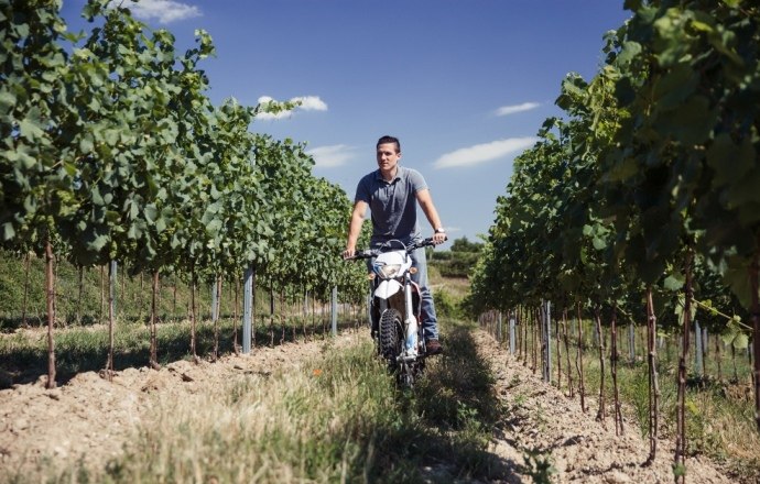 Baier Winery, © Ideenladen Krems Person riding a motorcycle through a vineyard.
