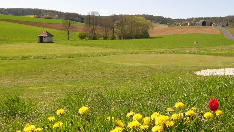 Hole 1, © Golfclub Neulengbach Golf course with flowers in the foreground and flag on the green.