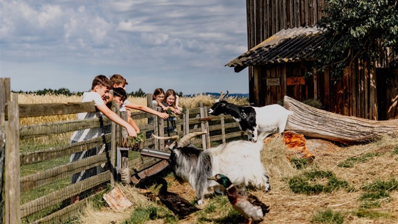 Organic farm Hipp-Bruckner, © Waldviertel Tourismus, Matthias Streibel Organic farm Hipp-Bruckner, © Waldviertel Tourismus, Matthias Streibel