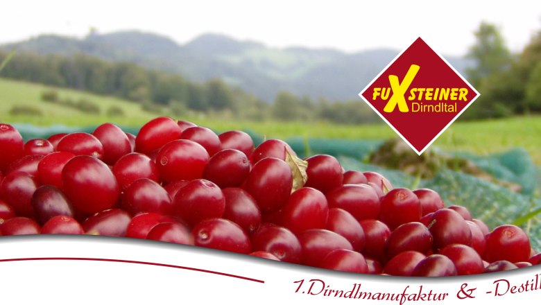 FuXsteiner, © zVg Red fruit on a field with the FuXsteiner Dirndltal brand logo.