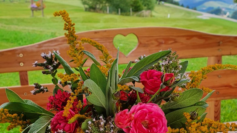 Outlook from the house bank, © Melanie Schweighuber Outlook from the house bank, © Melanie Schweighuber