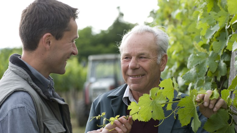 Father and son, © Himml Two men in a vineyard talking and looking at vines.