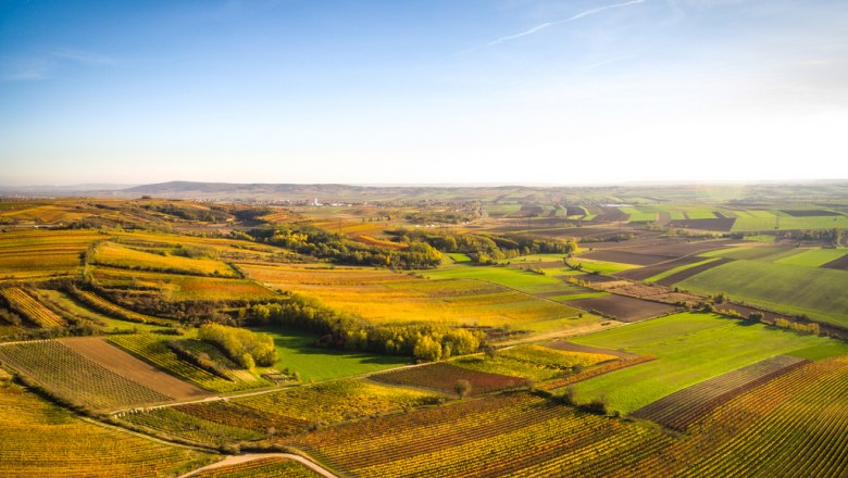 Kleinriedenthal in the middle of rolling vineyards, © Kastner Landscape with vineyards and fields under a blue sky.