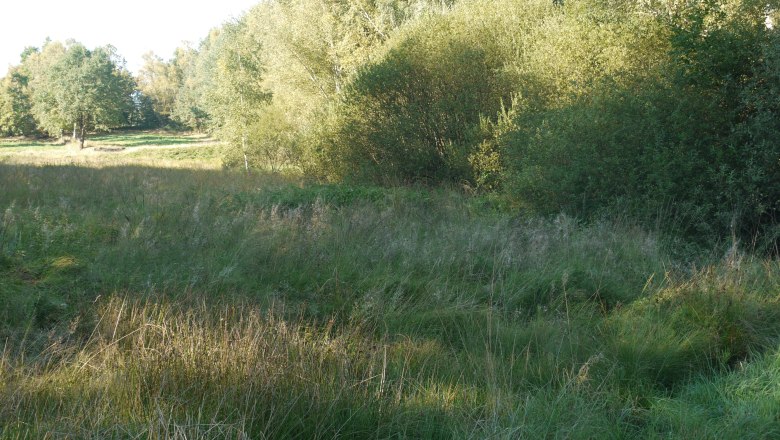 p1000581, © Schutzhaus Blockheide p1000581, © Schutzhaus Blockheide