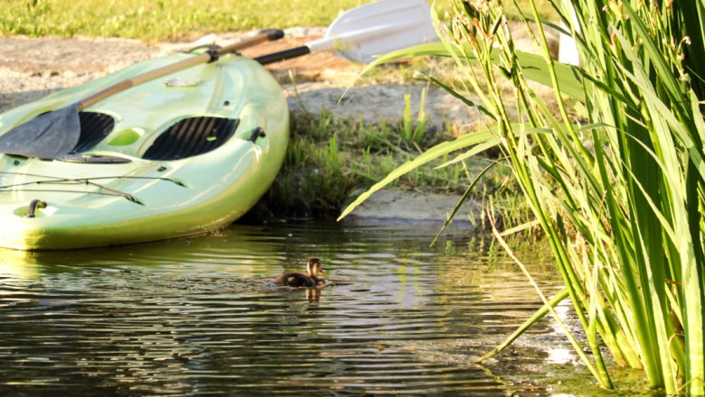 Stand-Up Paddle, © Familie Moser A green stand-up paddle board lies on the shore of a pond, with a small duck swimming in the water next to it.