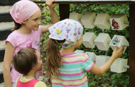 Fairytale forest, © Tanja Schwartz Fairytale forest, © Tanja Schwartz