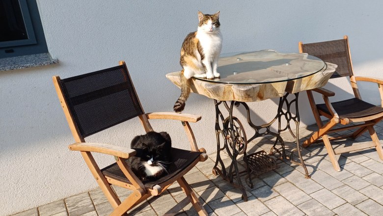 Schnurli and Lilly, © Martina Bachzelt Schnurli and Lilly, © Martina Bachzelt