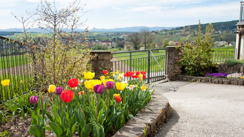 Garden, © Fam. Sulzbacher A colorful garden with tulips and a view of a rural landscape.