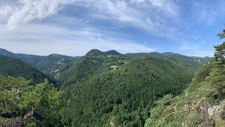 Semmering view Weinzettlwand, © Tourismusverband Semmering-Rax-Schneeberg Panoramic view of wooded hills and blue skies towards Semmering