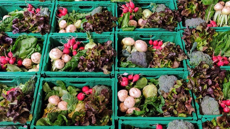 Vegetable crates, © Gutes vom Gutshof Vegetable crates, © Gutes vom Gutshof