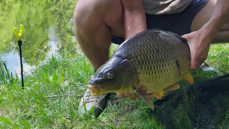 IMG_20200613_160740_2~2, © Gemeinde Pölla IMG_20200613_160740_2~2, © Gemeinde Pölla