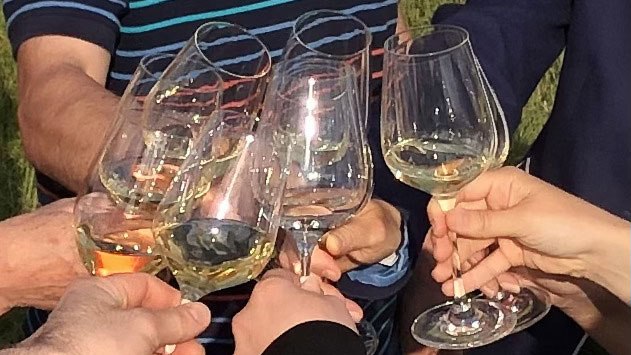 Wine experience hike, © Kamptal Alpakas, Herr Popp Wine experience hike, © Kamptal Alpakas, Herr Popp