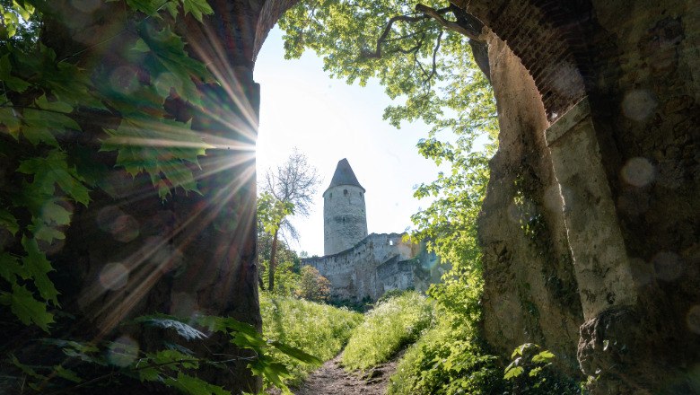 Seebenstein Castle Gate, © Claudia Schlager View through a castle gate to Seebenstein Castle with sunbeams and green foliage.