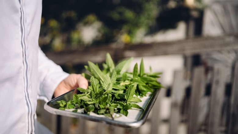 Country inn Bachlerhof, © Moststraße, dochbodnliacht Country inn Bachlerhof, © Moststraße, dochbodnliacht