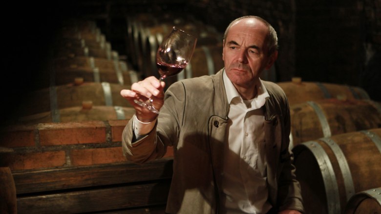Richard Fink Winery, © weinfranz.at A man in the wine cellar holds up a glass of red wine.