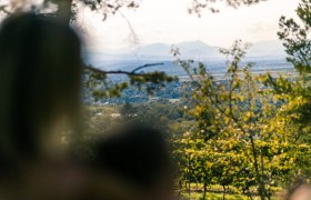 At the viewpoint in Eichbüchl, © Wiener Alpen, Martin Fülöp View through trees of a wide landscape with mountains in the background.