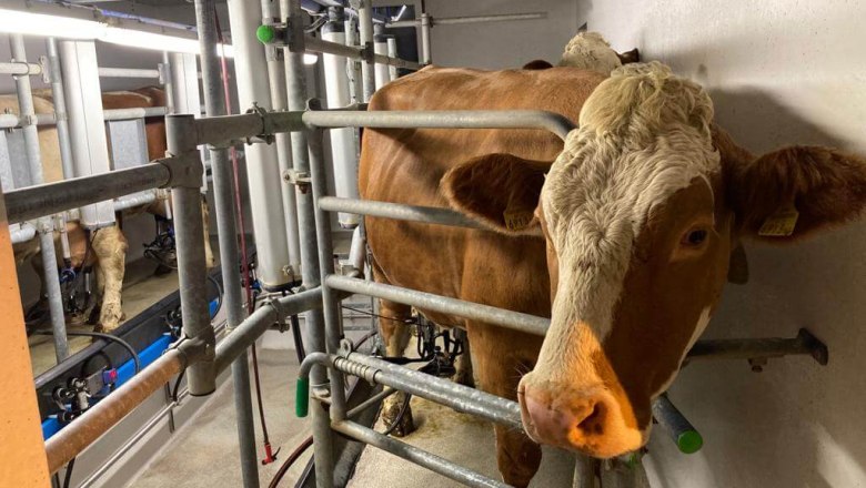 Milk love, Wegbauernhof, © Helen Brandstetter Milk love, Wegbauernhof, © Helen Brandstetter