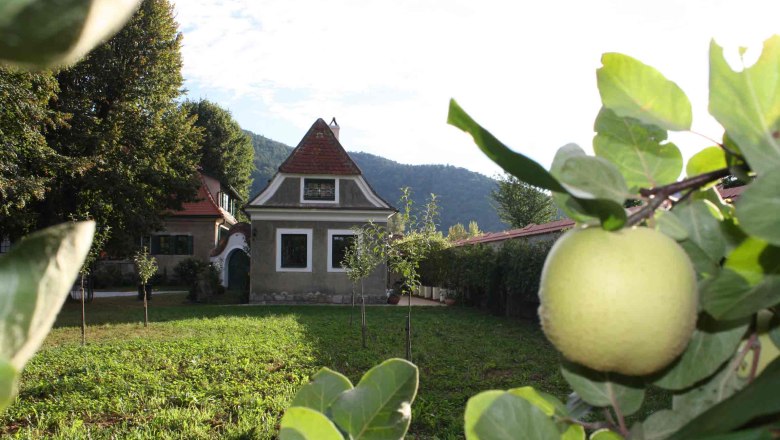 Garden view at Bioweingut Schmidl, © Weingut Schmidl Garden view with small house and fruit tree in the foreground.