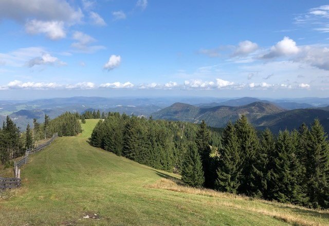 Hiking on the Unterberg, © Heidi Peer View of a green mountain landscape with forests and blue sky.
