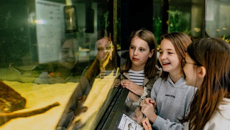 UnterWasserReich Schrems, © Waldviertel Tourismus, Matthias Streibel Three children look at an aquarium in the UnterWasserReich Schrems.