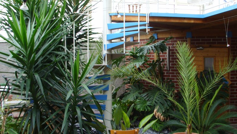 Terrace, © Eder Inner courtyard with plants and spiral staircase.